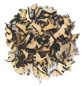 Zestaw Zwierzęta Prehistoryczne mini 100szt 2cm