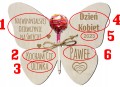 Prezent na lizaka dla dziewczyny motyl duży grawer